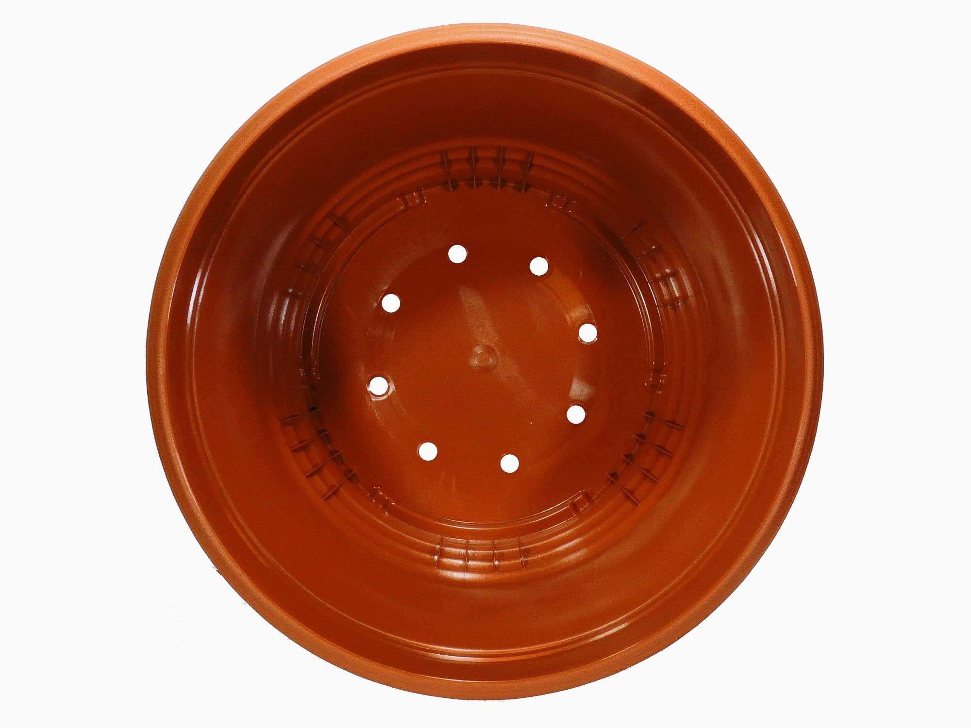 Ampelschale - Image 7