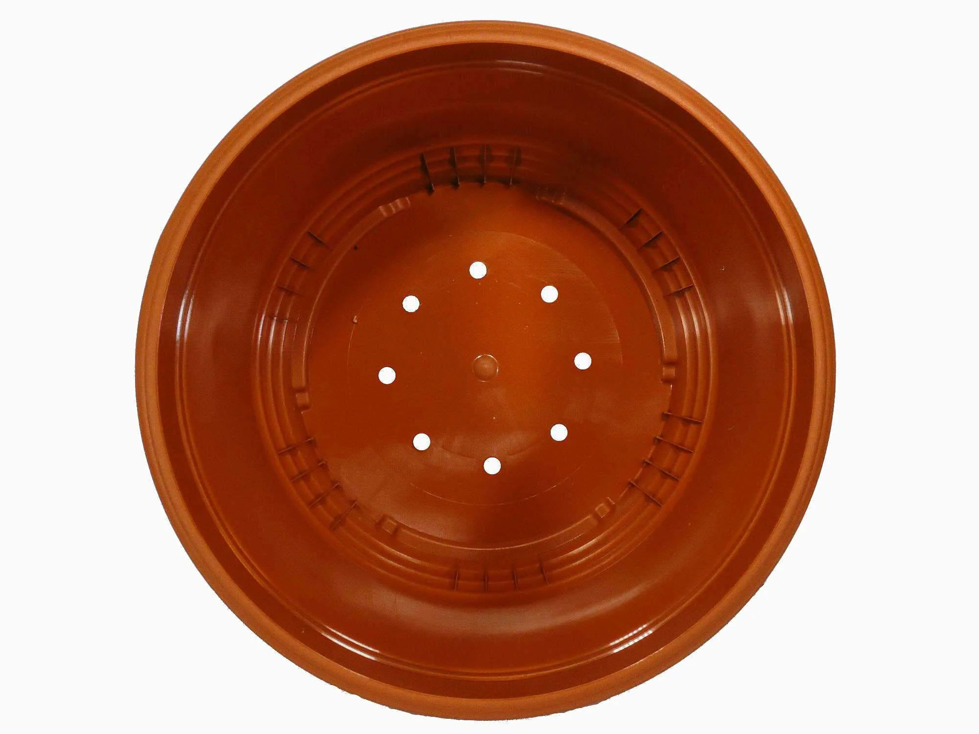 Ampelschale - Image 8