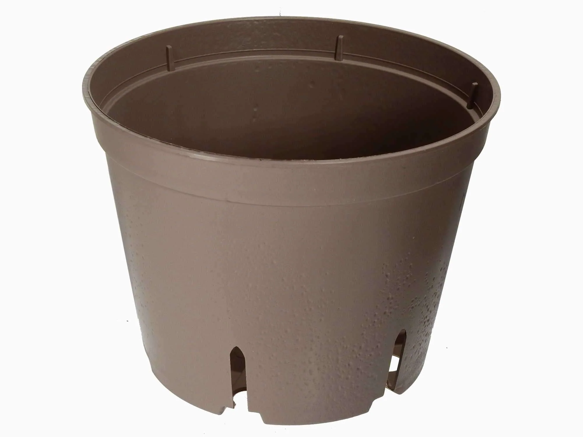 BioForm-Topf 12cm - Image 3