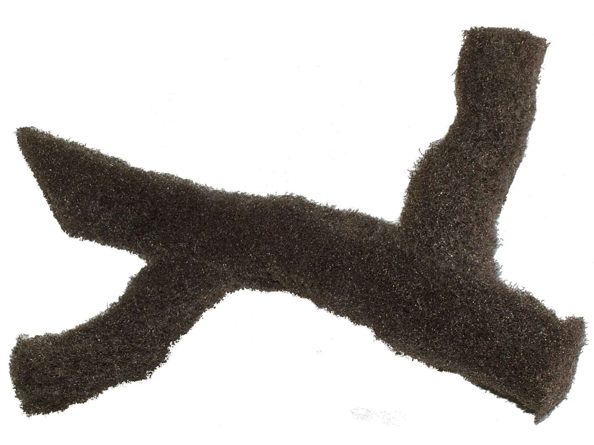 Epi-Web Stamm zweiarmig