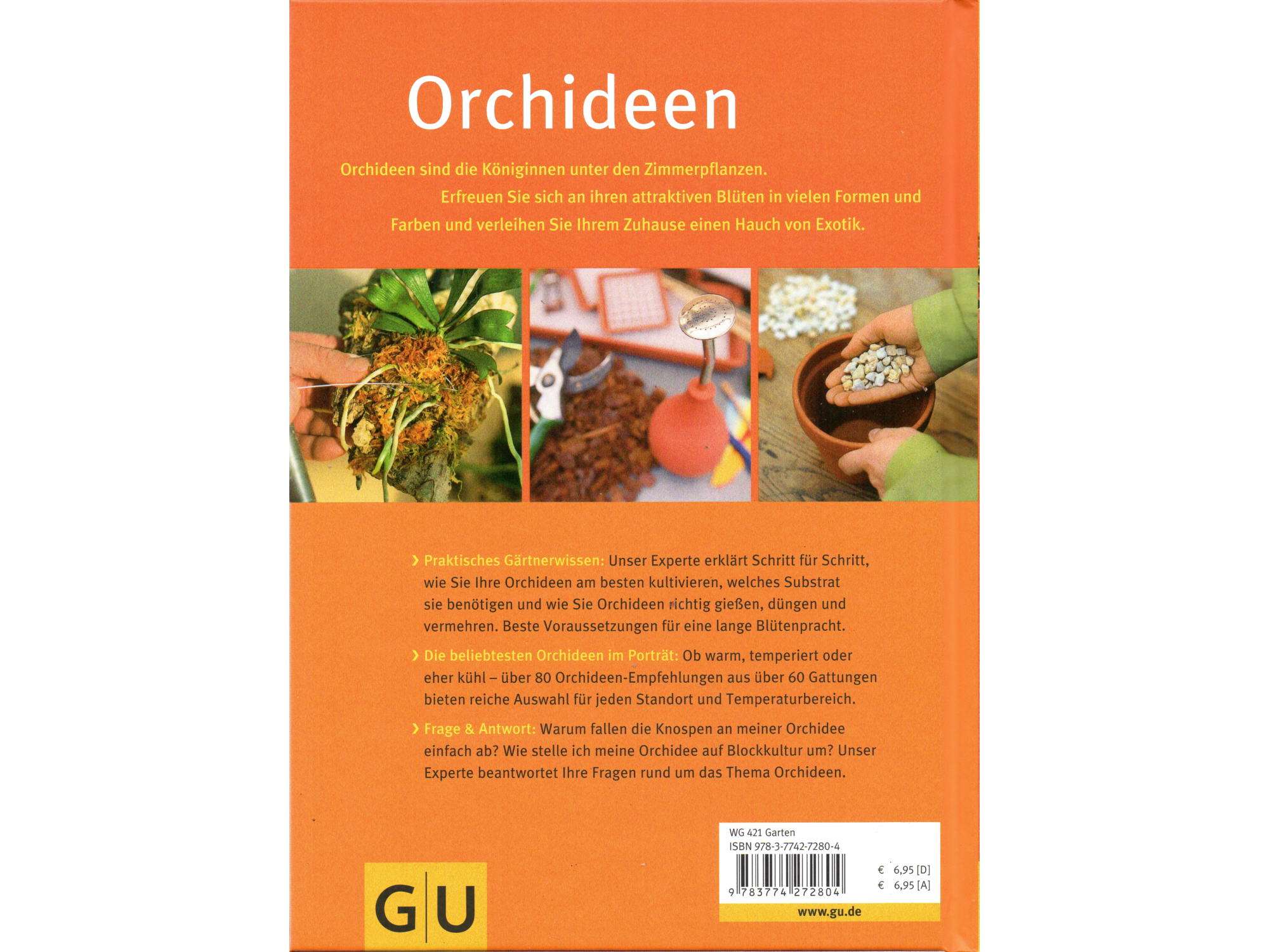 GU - Pflanzenpraxis Orchideen - Image 2