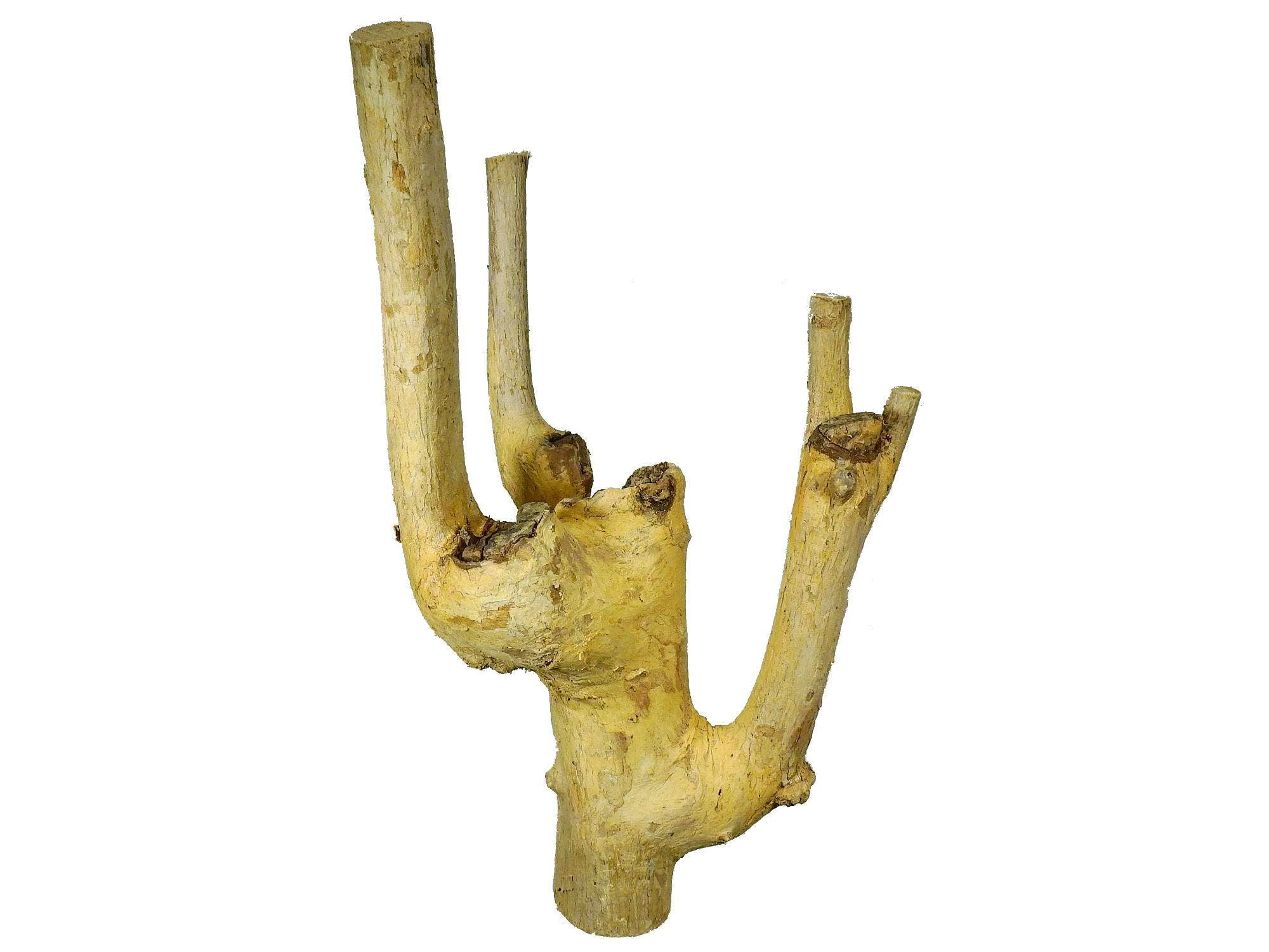 Holz - Kaffee Stamm S