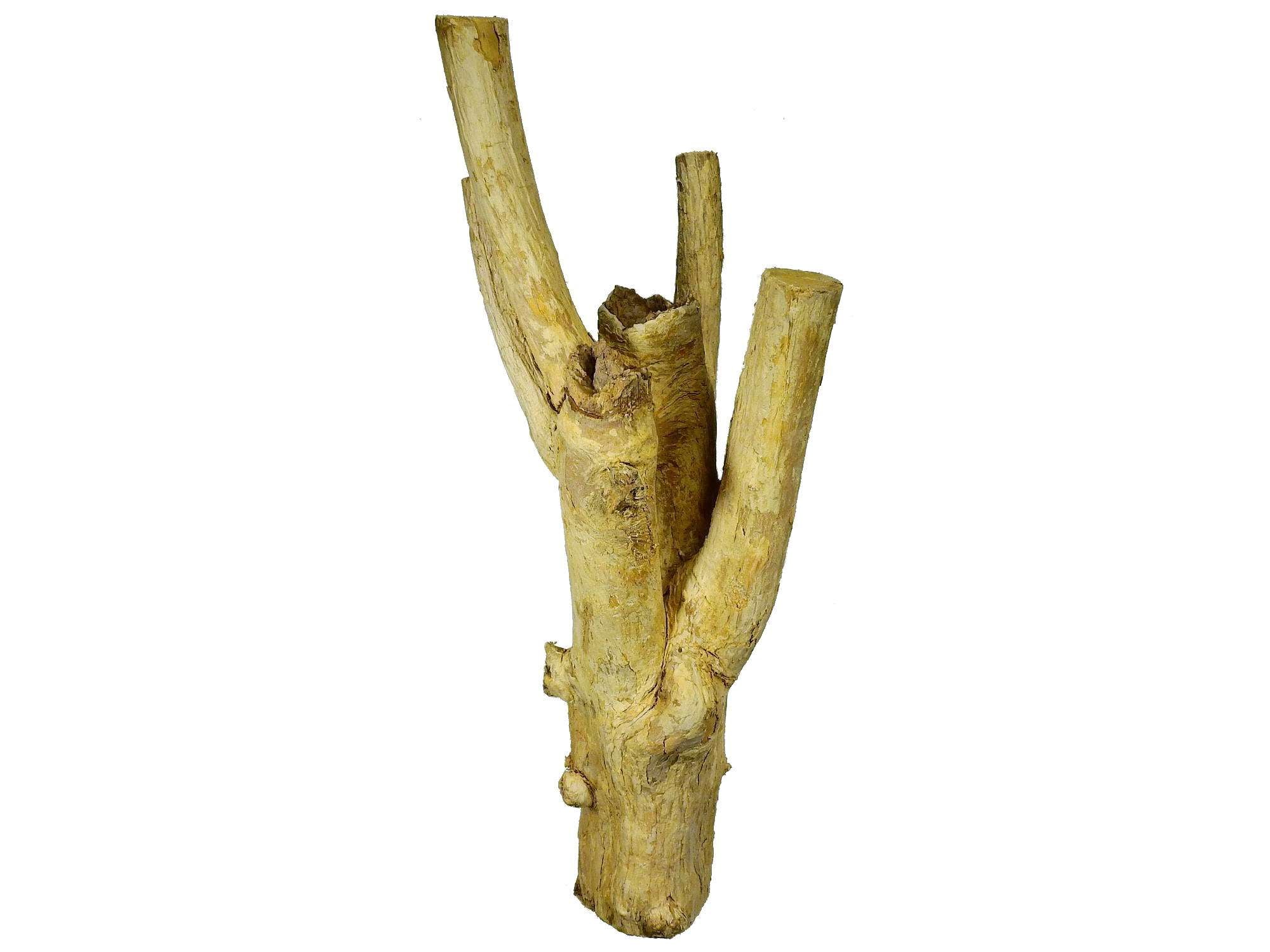 Holz - Kaffee Stamm S - Image 2