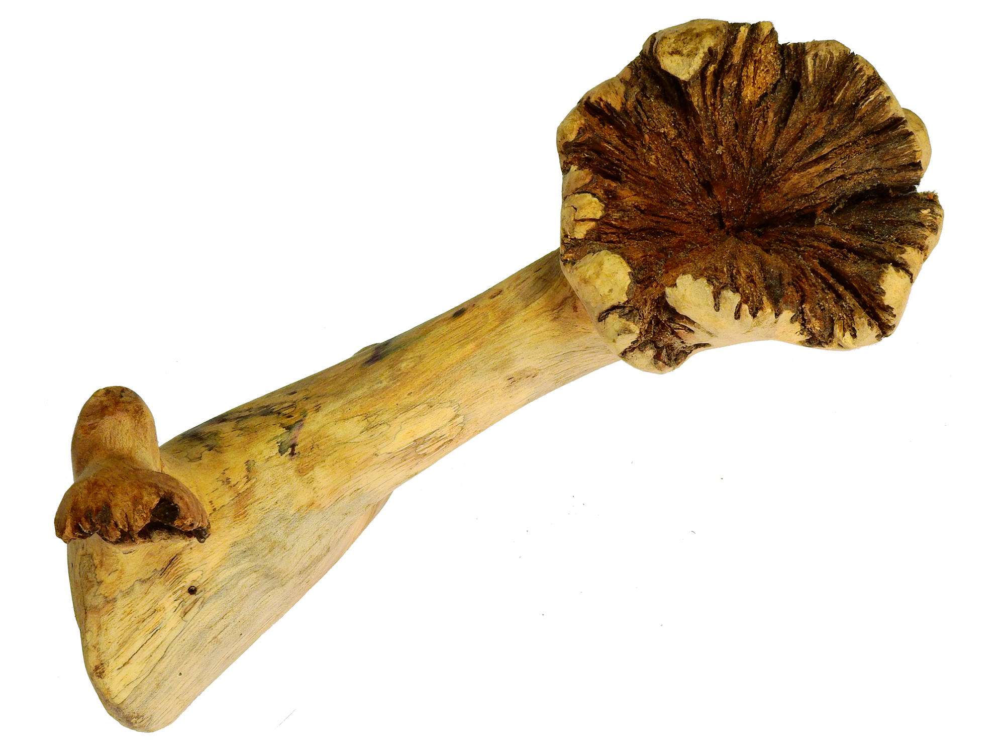 Holz - Zedrachholz M - Image 3